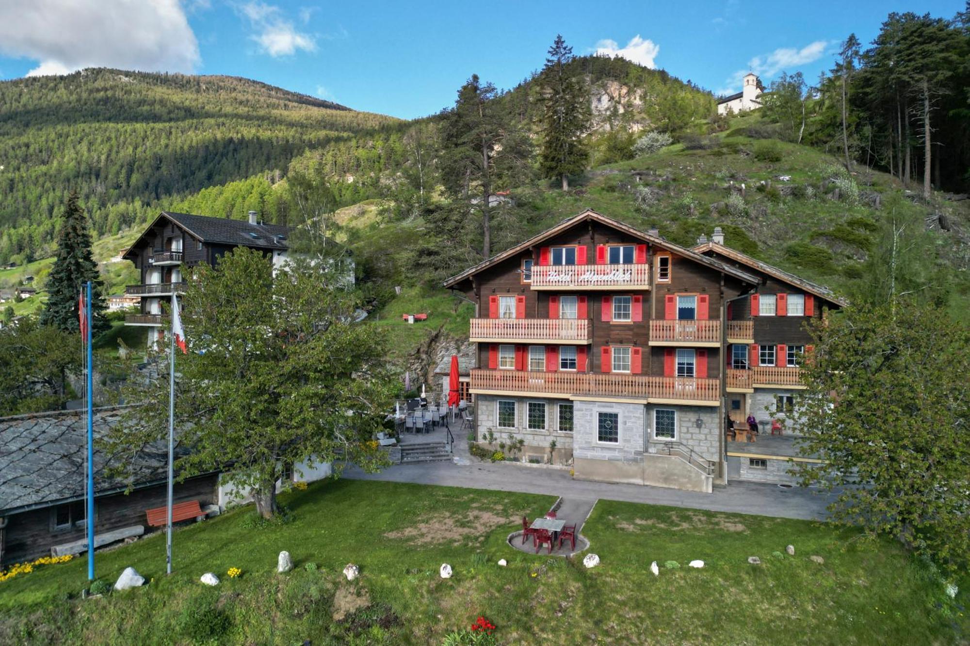 Hotel Alpenblick Zeneggen Eksteriør billede