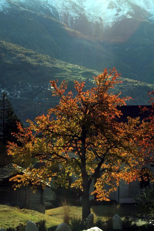 Hotel Alpenblick Zeneggen Eksteriør billede