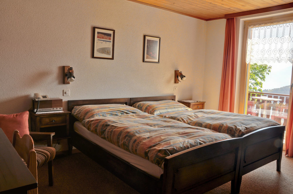 Hotel Alpenblick Zeneggen Eksteriør billede