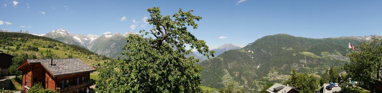 Hotel Alpenblick Zeneggen Eksteriør billede