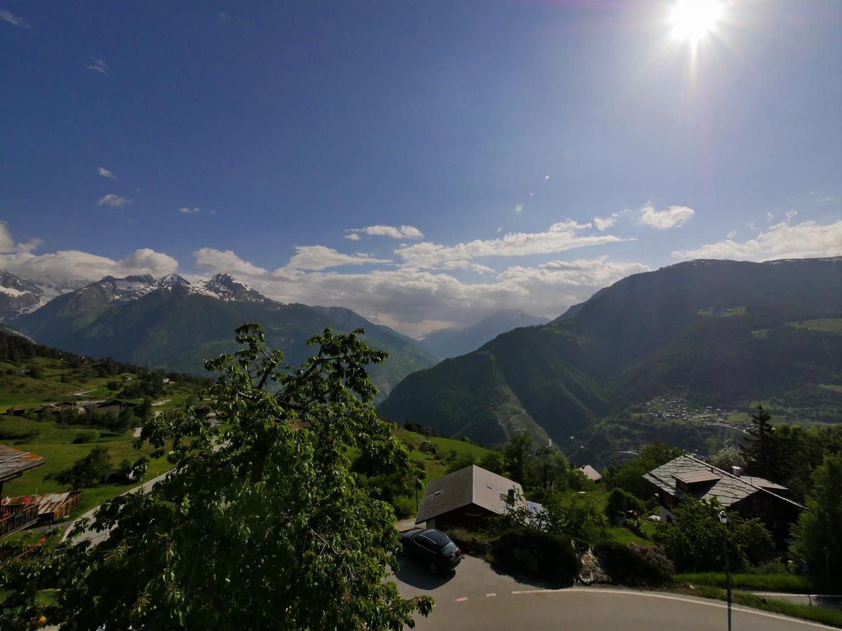 Hotel Alpenblick Zeneggen Eksteriør billede