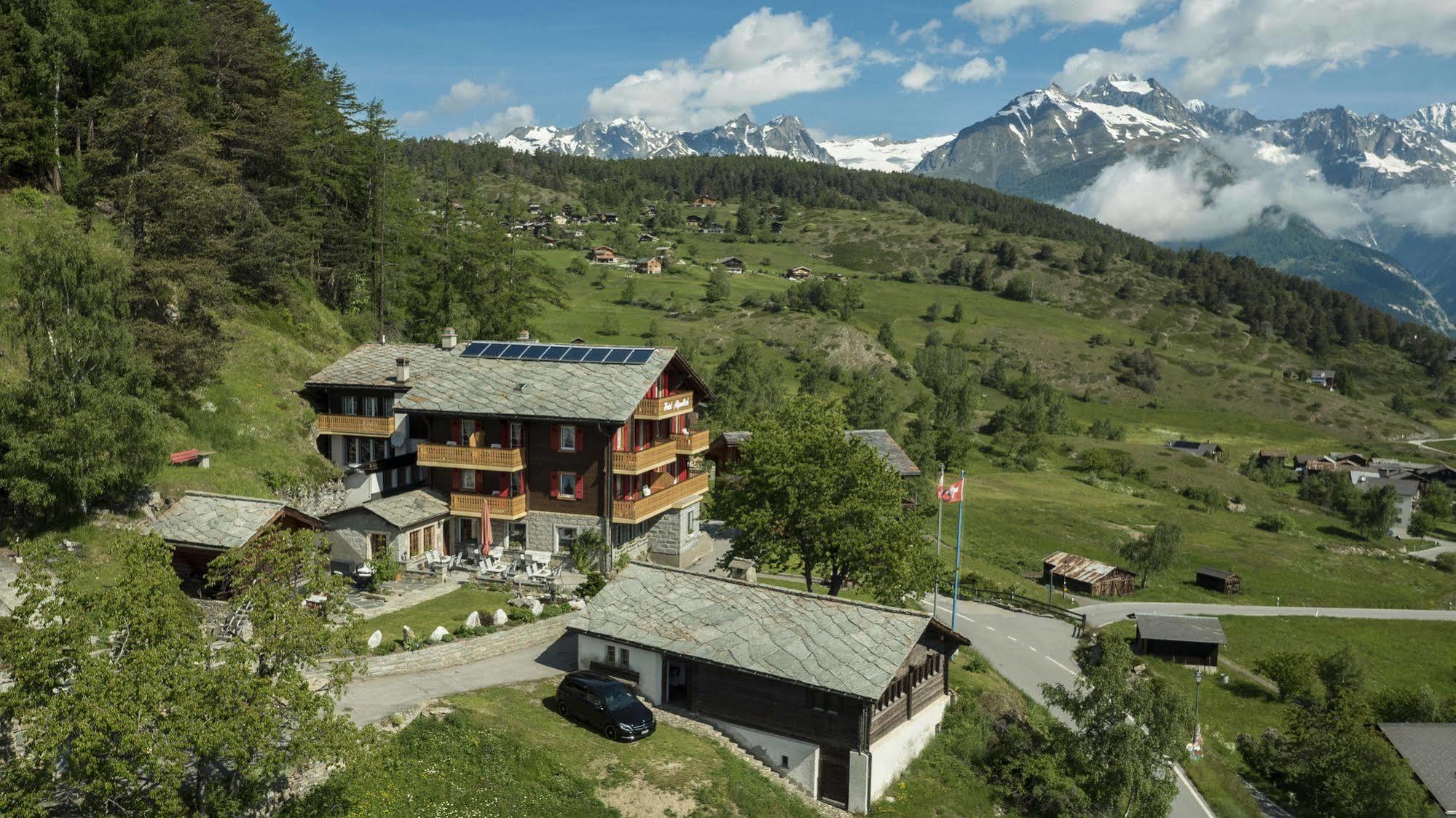 Hotel Alpenblick Zeneggen Eksteriør billede